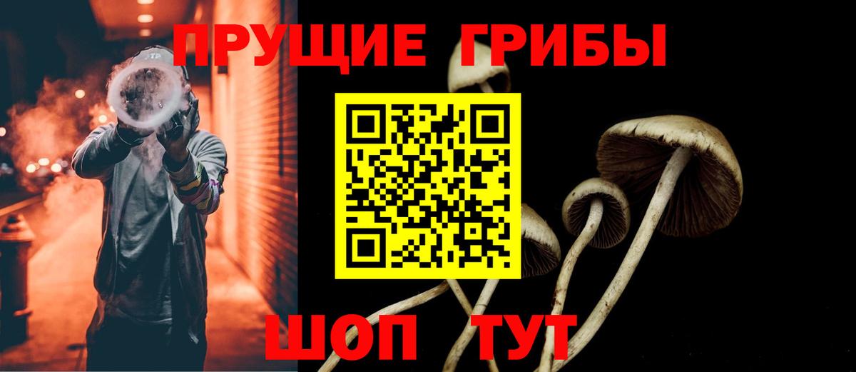 Псилоцибиновые грибы Psilocybe  Вход с VPN  Лениногорск  Галлюциногенные грибы Psilocybe 